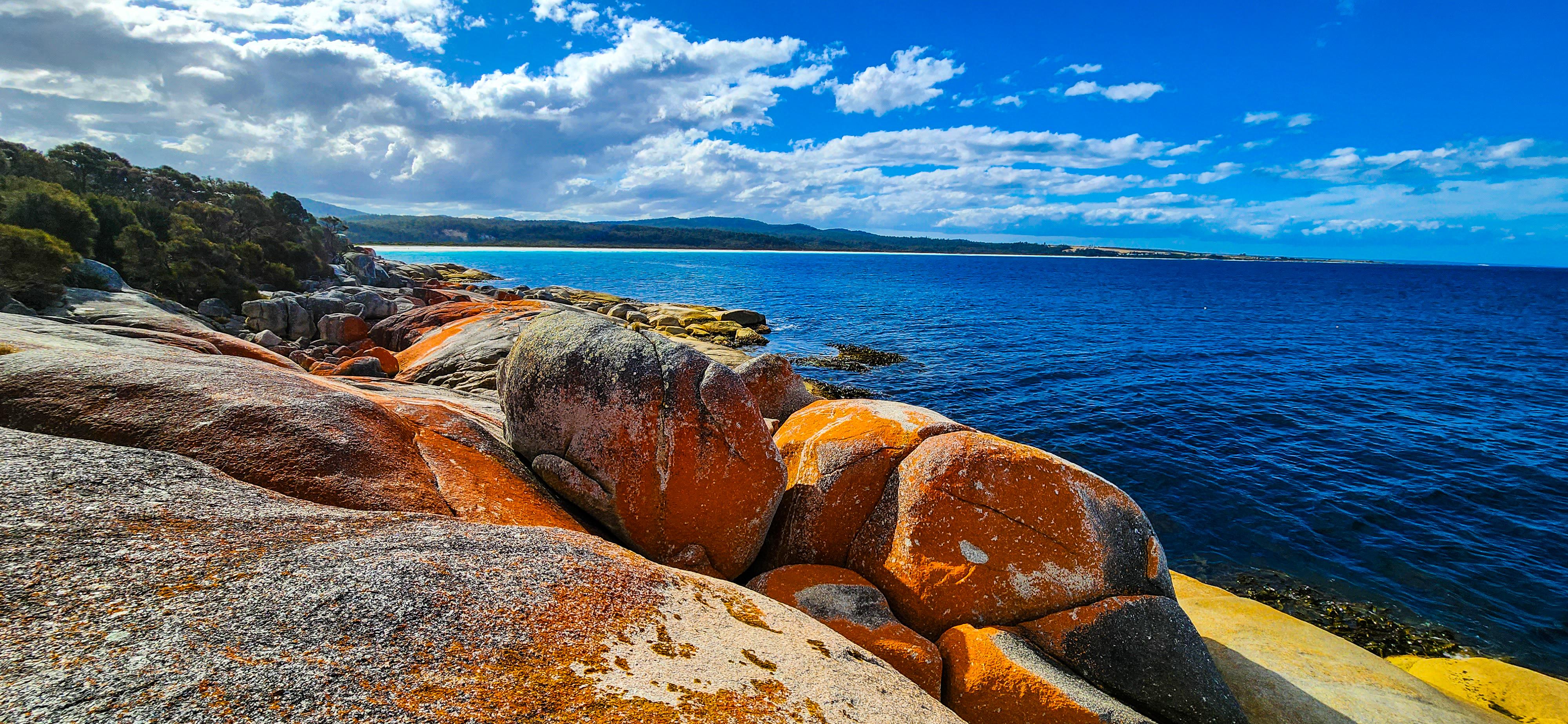 Sloop Rock Lookout
